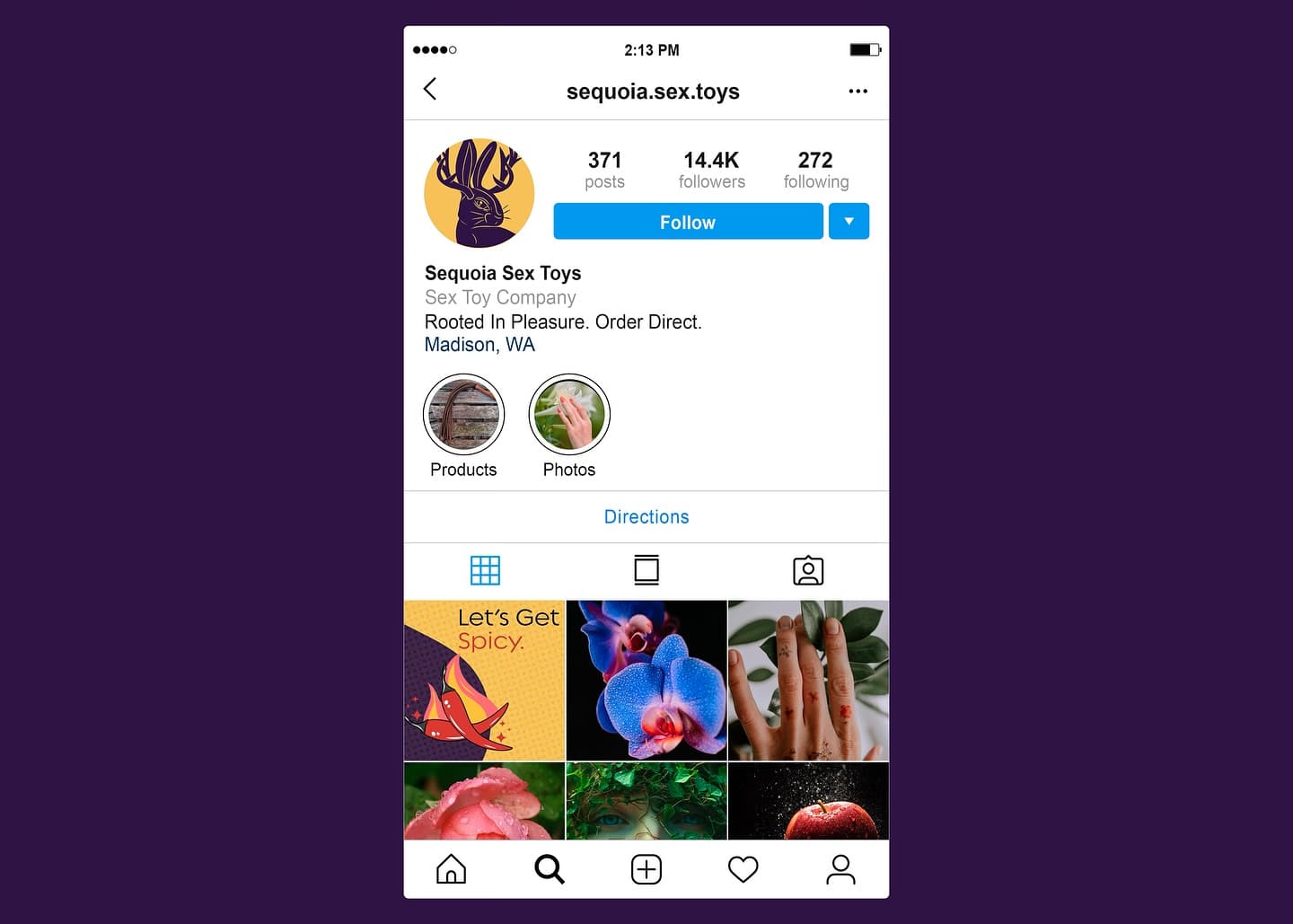Sequoia Sex Toys Instagram profile with curated grid and consistent visual identity | Social media by Black Rabbit Creative