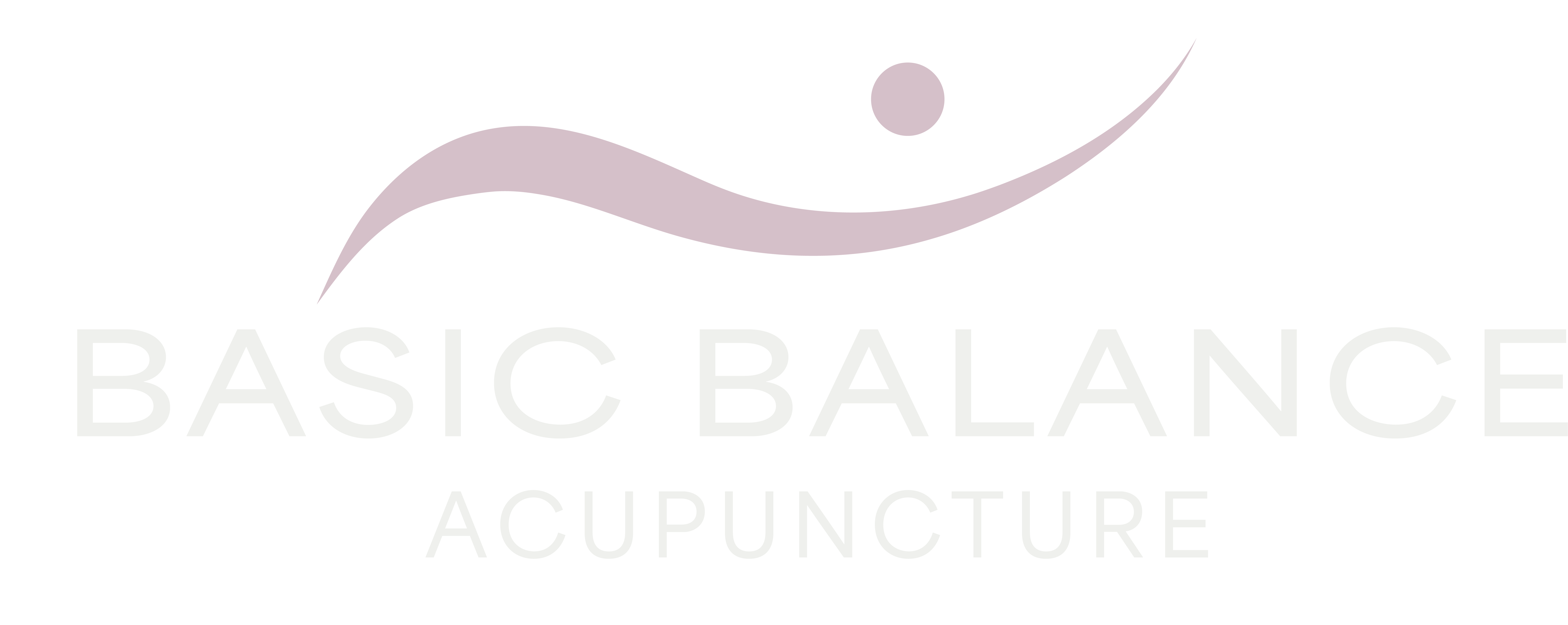 Basic Balance Primary Logo